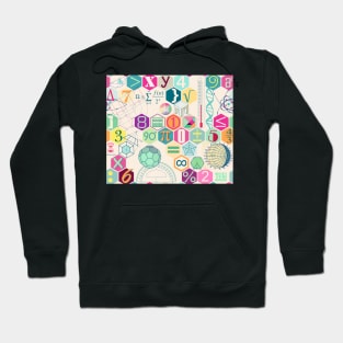 Math in color (pastel pink) Hoodie